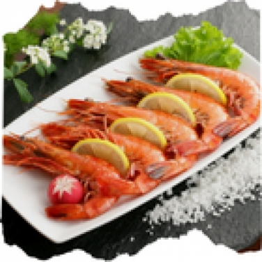 Fresh Fish 01